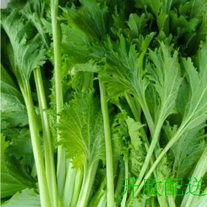 花叶小苦菜 - 开欣农场蔬菜配送中心图片